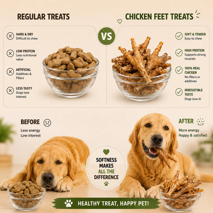 PAWPOURRI Natural Chicken Feet Dog Treats, 100gm | Protein Rich Chewy Snacks for Dogs | Suitable for All Breeds & Life Stages | Daily Training & Reward Treats (Pack of 1)