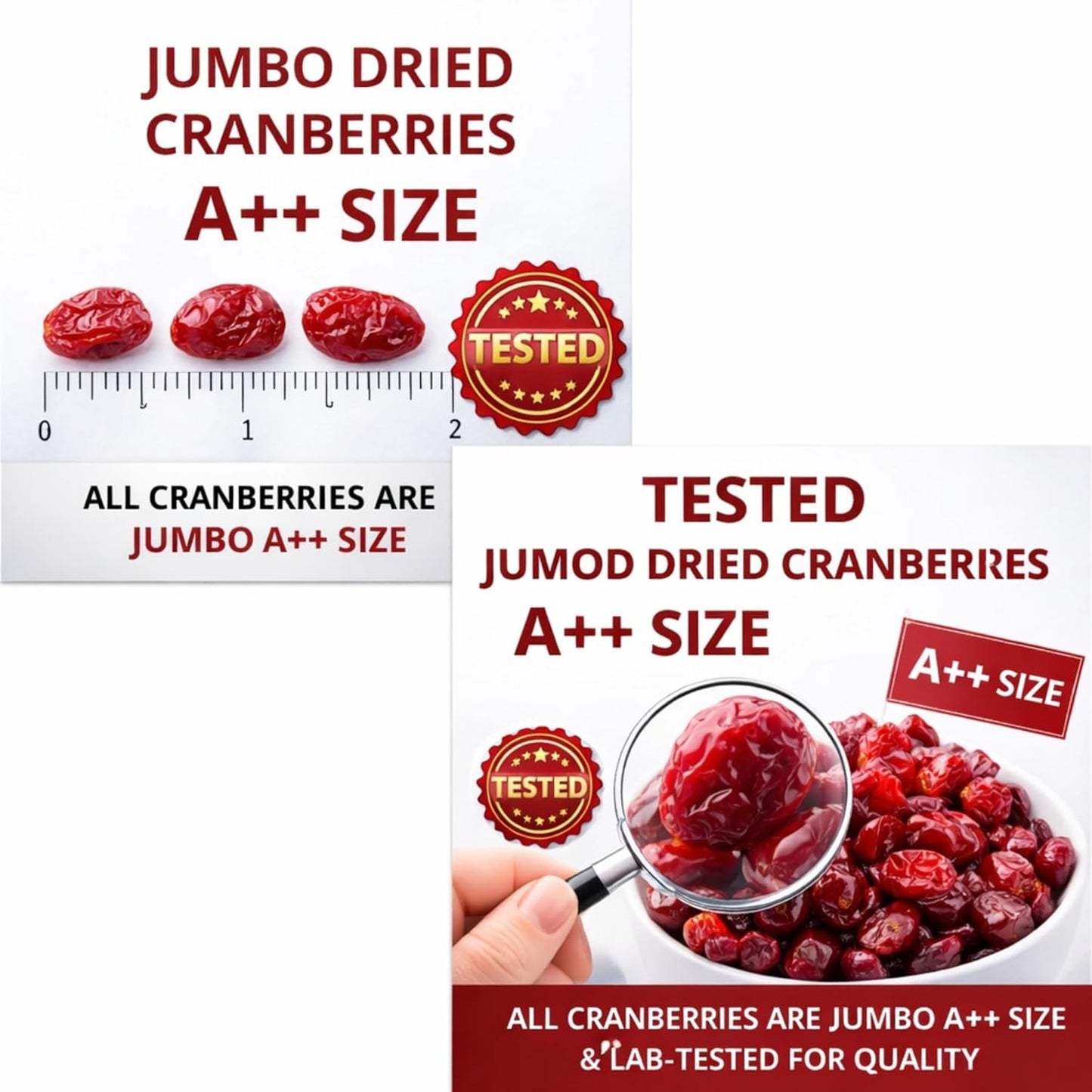 DRY GOODS CO. Dried Cranberries 200g | No Added Sugar | Dry Fruits