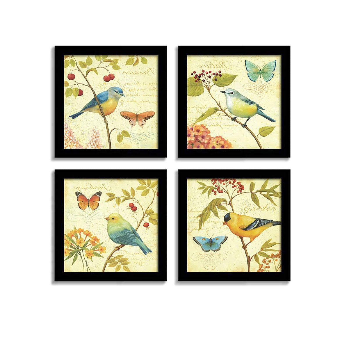 Jardin Bird Wall Art Painting For Living room, Birds botanical Framed painting, set of 4, 9x9 Inch