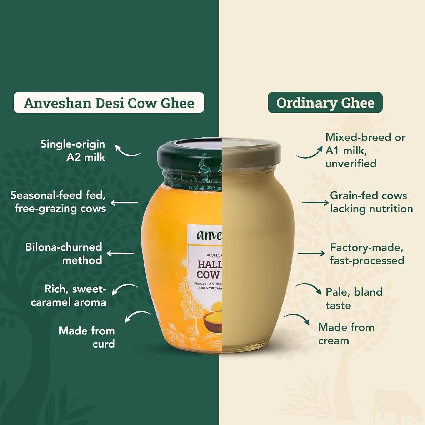 Anveshan A2 Desi Cow Ghee 150ml | Traditionally Bilona-Churned, Danedar Ghee | Aromatic| NABL Lab Tested (70+ tests), Cruelty-Free | Grass-Fed | Glass Jar