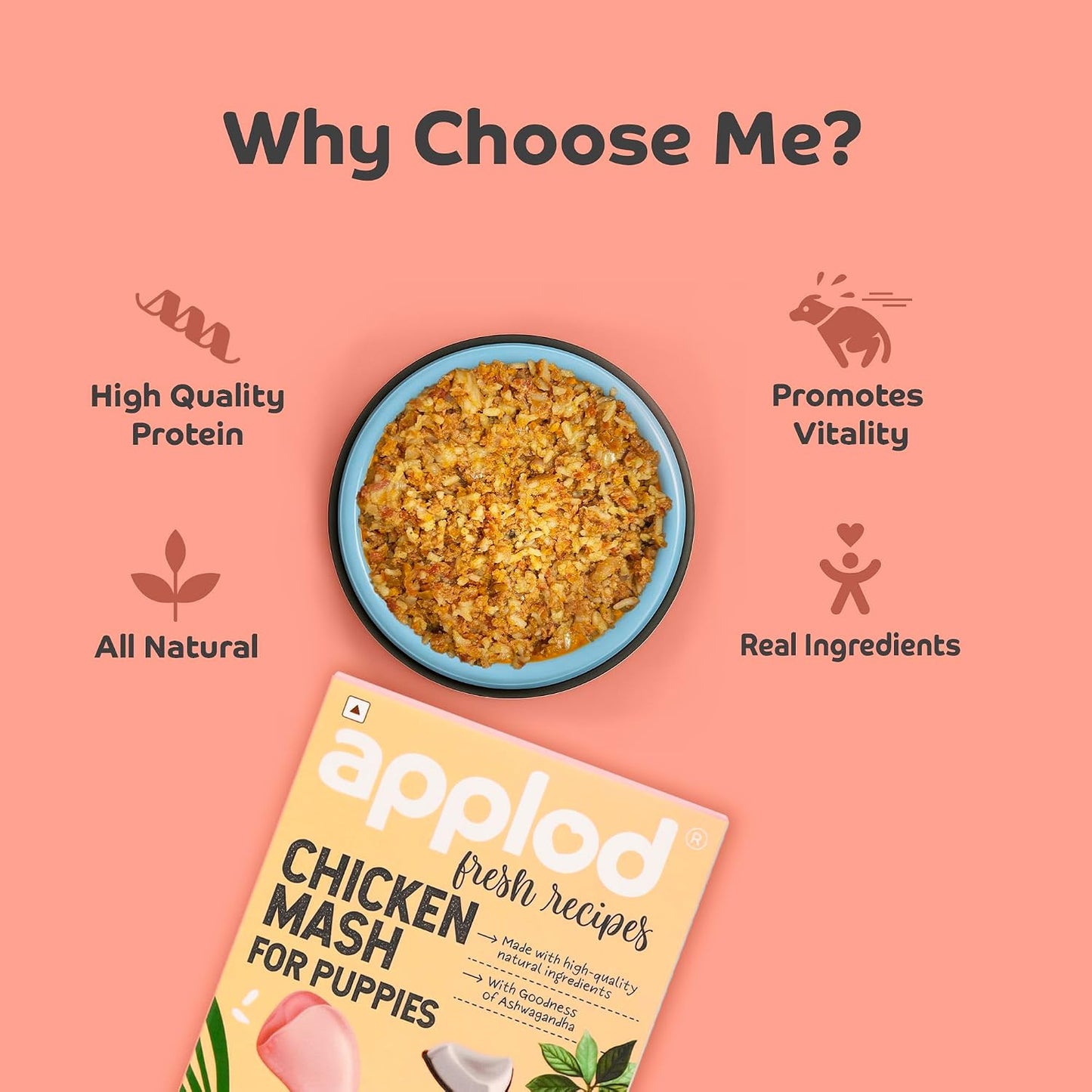 applod Chicken Mash Fresh Dog Food for Puppies | Soft Easy-to-Digest High-Protein Chicken Meal | Supports Growth, Immunity & Healthy Development | 300g