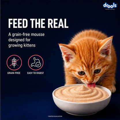 Drools Kitten Wet Mousse 80g | Salmon | High Protein | Promotes Hydration & Easy Digestion | Grain Free | No Artificial Additives | Enriched with Vitamins & Antioxidants