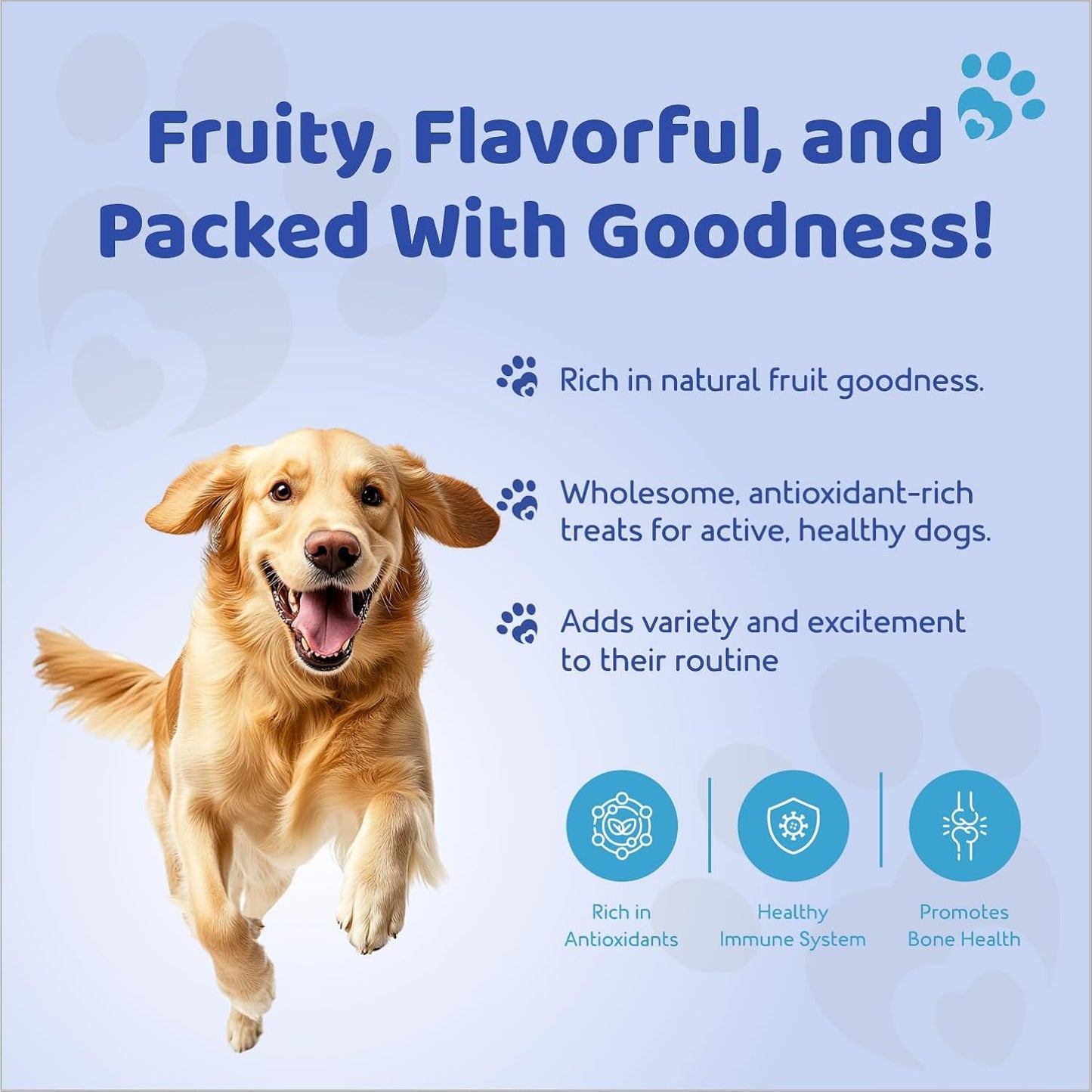 Petoska Chicken & Mixed Berries Dog Biscuits for Small, Medium & Large Breeds|500g Jar| Real Chicken & Berry Blend Treats | Crunchy Dog Food Biscuits