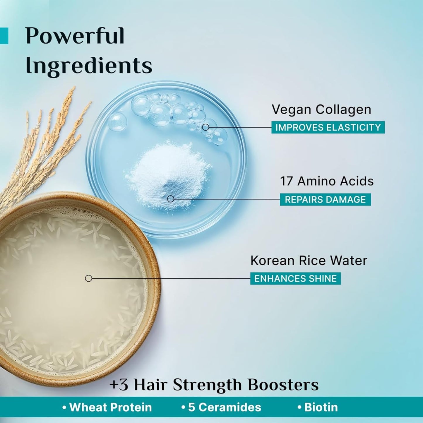 Pilgrim Korean Rice Water & Collagen Advanced Damage Repair Conditioner - 200ml | With 17 Amino Acids, Wheat Protein & Ceramides | Paraben-Free | Deep Nourishment & Shine I For Women & Men