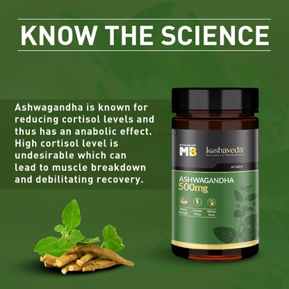 MuscleBlaze Koshaveda Ashwagandha 500mg (60 Tablets) | Ayurveda for Performance, Ayush Approved, High Strength Potent Formula | Boost Muscle Mass & Strength, Enhance Immunity