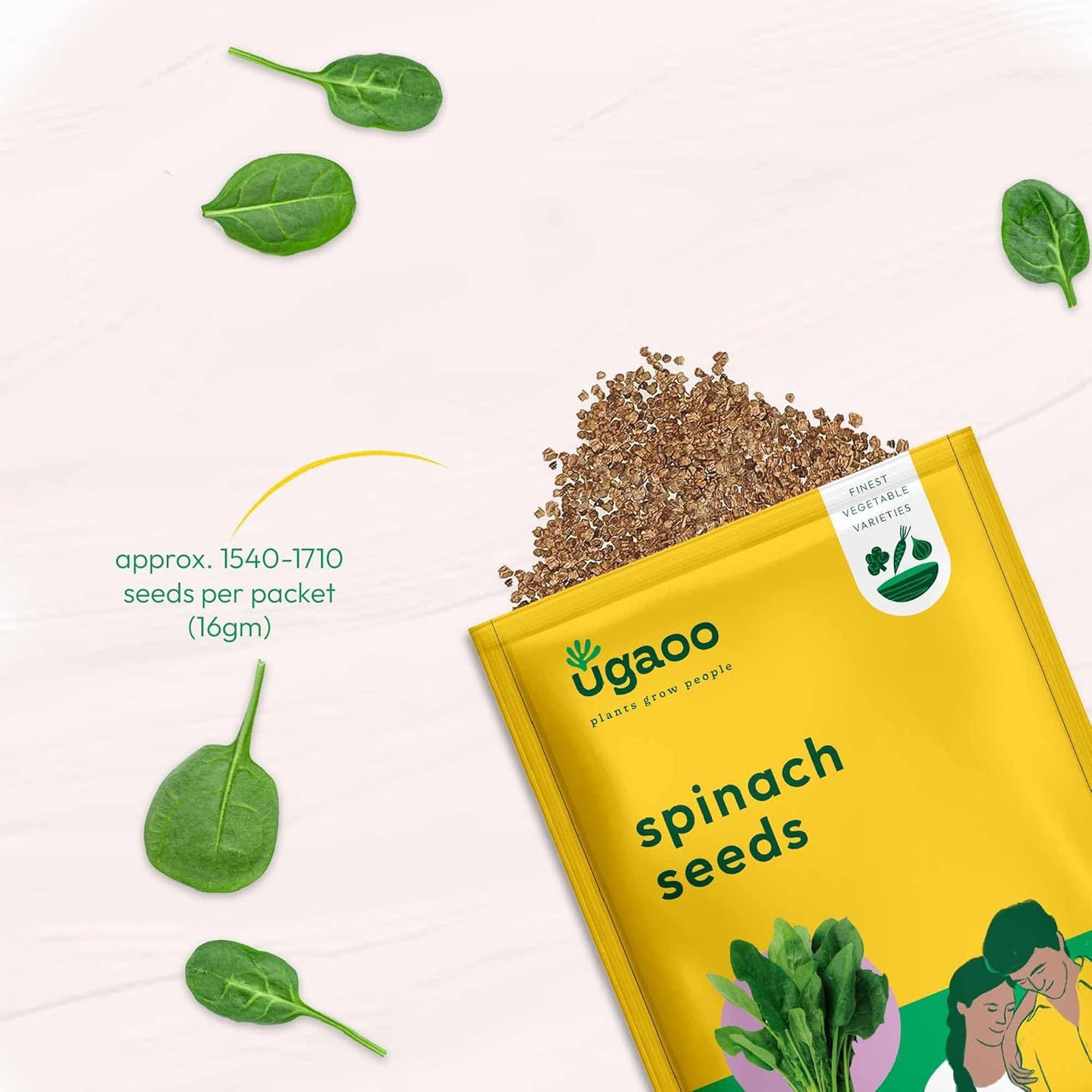 UGAOO Palak or Spinach Vegetable Seeds (Green, Pack of 16 g) -1700 Seeds