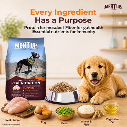 Meat Up Puppy Dry Dog Food, 1.2 kg Pack
