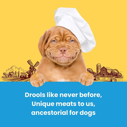 BarkButler x Dogfest Chicken Medallion Treats for Dogs| Meat-First | Human Grade | Natural Ingredients | 0% Artificial Colours & Preservatives |Dog Treats for Adult Dog | 90g