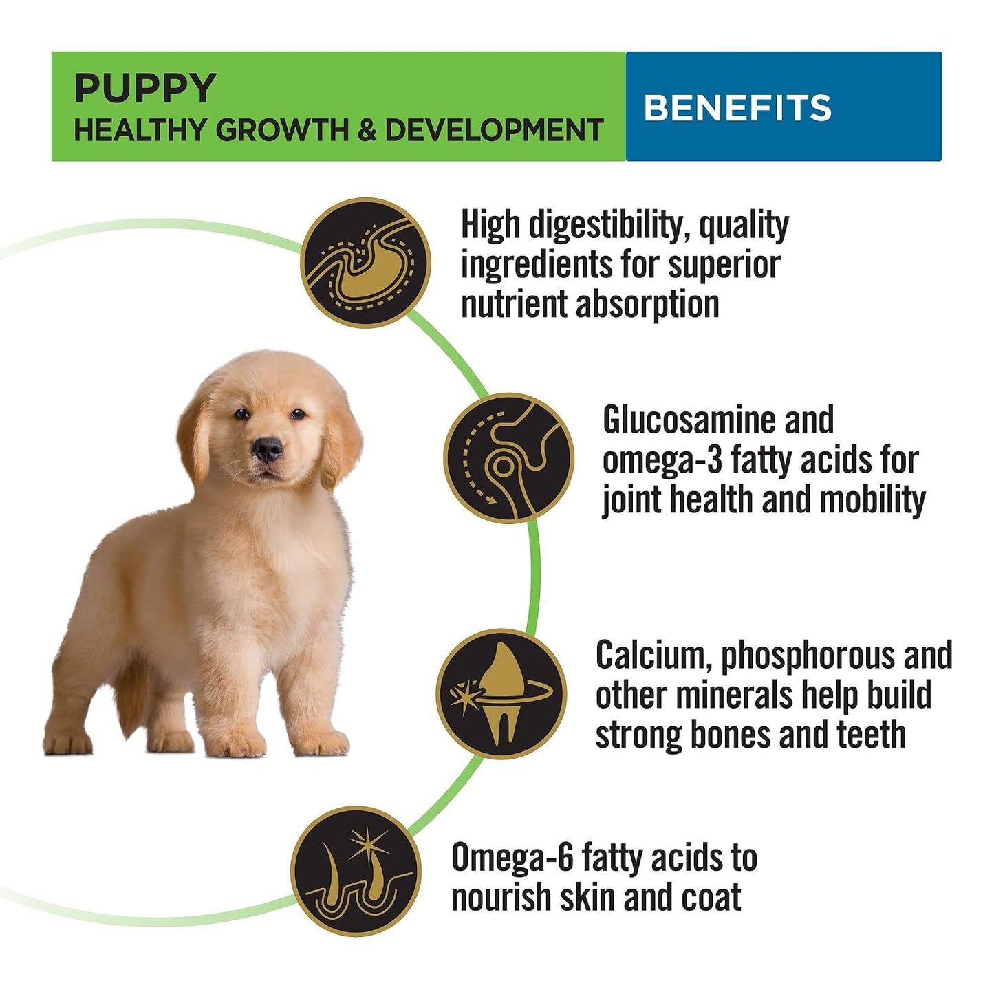 Purina Pro Plan Puppy Dry Food for Large Breed Dogs, 1kg Pack | With Chicken, Natural Colostrum, Supports Immune System, Scientifically Proven Antioxidants, Complete Nutrition