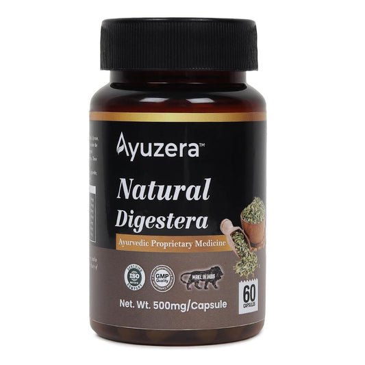 Wellwith by Ayuzera Natural Digestera 60 Capsule|Food Supplements, Digestion | Pack of 1