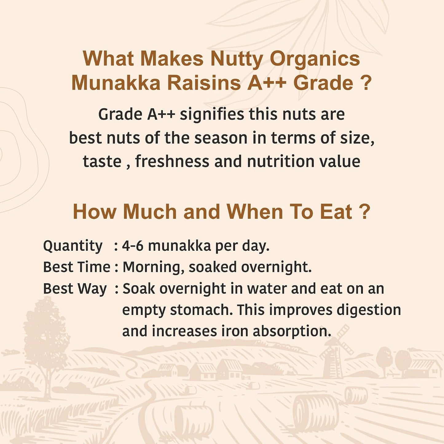 Nutty Organics Munaka Raisins 250 Gm | Nutritious| Rich in Iron | Tasty & Healthy Nuts Dry Fruits | Rich in Protein