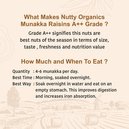 Nutty Organics Munaka Raisins 250 Gm | Nutritious| Rich in Iron | Tasty & Healthy Nuts Dry Fruits | Rich in Protein