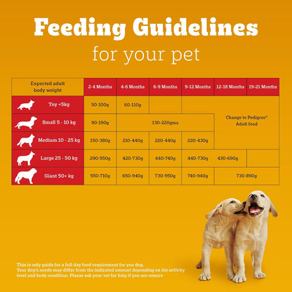Pedigree Puppy Dry Dog Food, Chicken & Milk, 1 kg, Contains 37 Essential Nutrients, 100% Complete & Balanced Food for Puppies