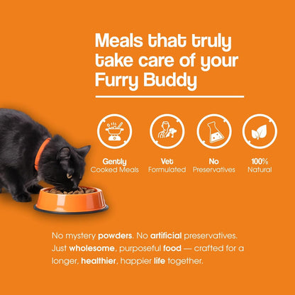 Wuuff & Meow Gently Cooked Wet Cat Food – Chicken & Salmon Medley Cat Meal | High Protein, Grain Free | Powered by BIOFIBER™ with Arbocel® | Vet-Formulated | (100 g (Pack of 1))