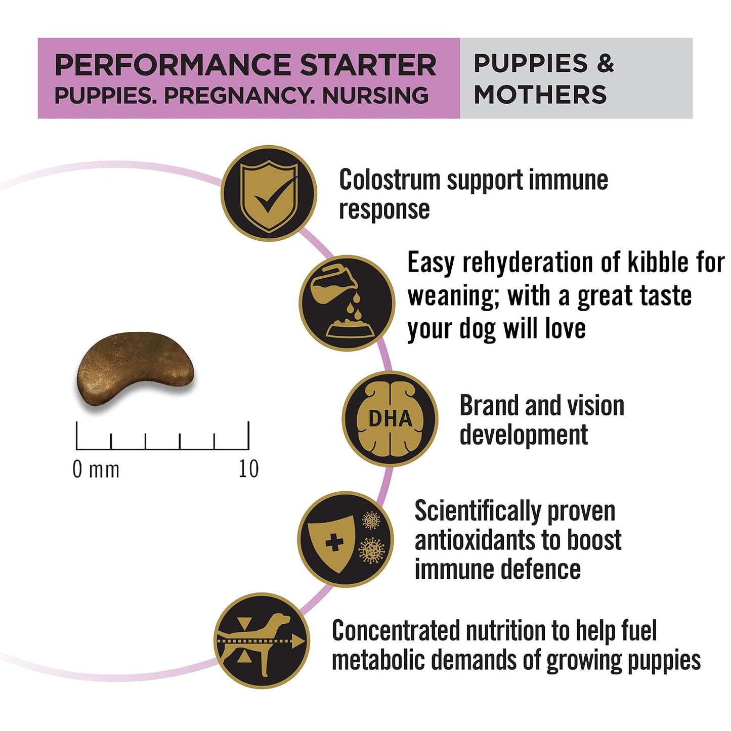 Purina Pro Plan Performance Starter for Puppies & Mothers, 1kg Pack | With Chicken, High Protein, Supports Puppies & Mothers, Muscle Recovery, Complete Nutrition