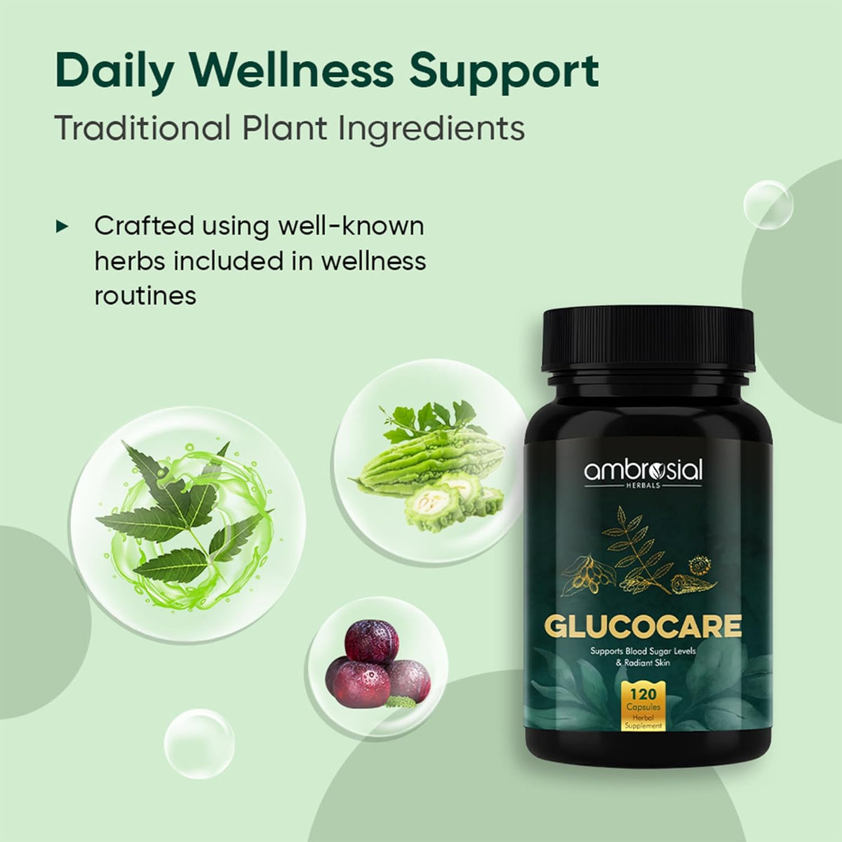 Bottle of ambrosial Glucocare with traditional plant ingredients on a green background