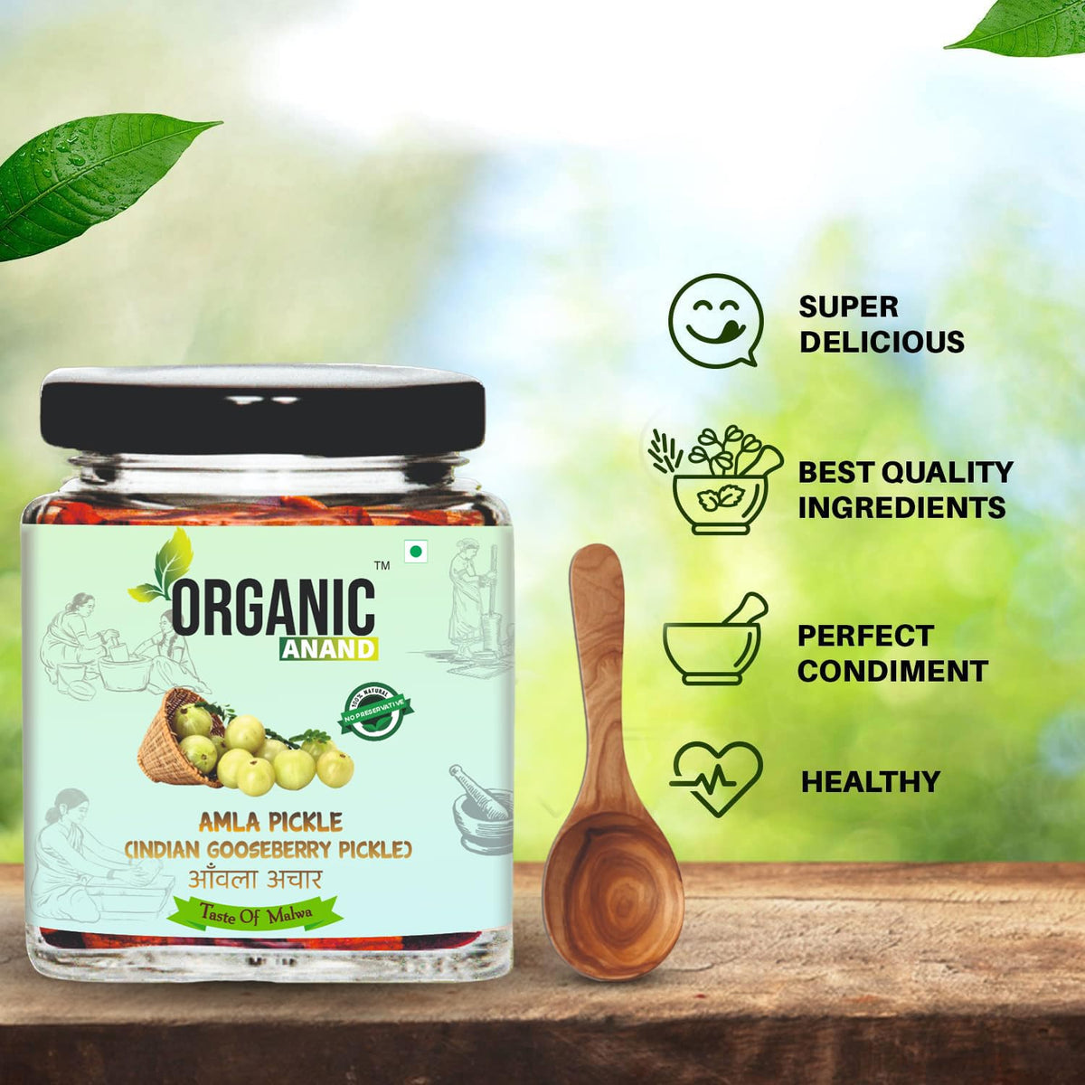 Organic Anand Amla Pickle 250g | Homemade Indian Gooseberry Pickle | Traditional Amla Ka Achaar | Natural, Homemade Pickle | No Artificial Preservatives | Ready to Eat