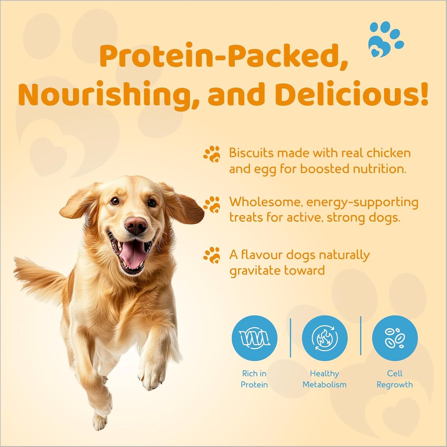 Petoska Chicken & Egg Dog Biscuits | 500g Jar | Made with Real Chicken & Egg | Crunchy Treats for Small, Medium & Large Dogs | 300 kcal/100g | Complementary Dog Food