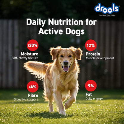 Drools Real Chicken Flavor Dog Treat Sticks, Delicious Training & Reward Treats for Dogs, 500g