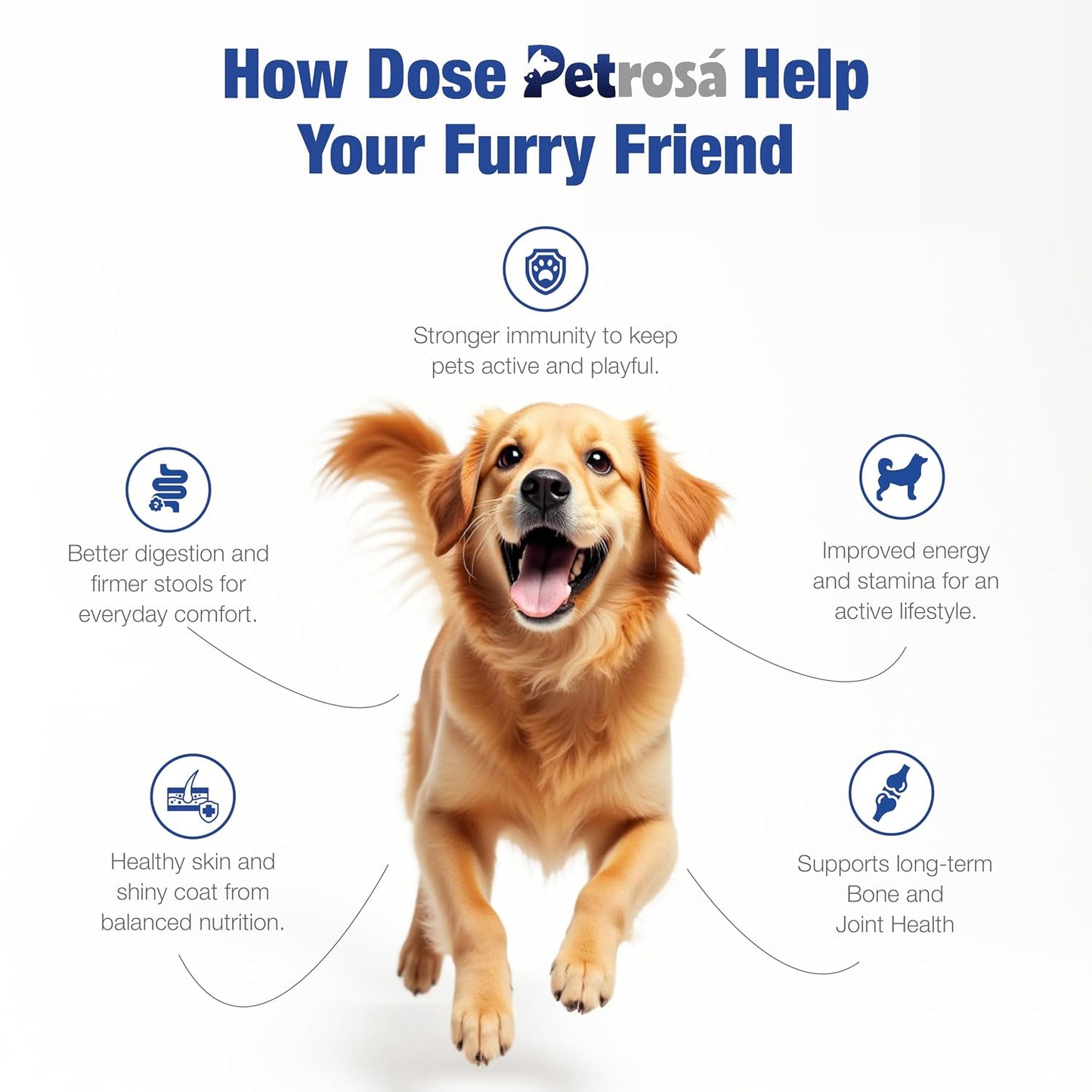 Petrosa Large Breed Adult Dry Dog Food (15 Months & Above), 1 Kg, 28% Protein, DHA & Prebiotics, Joint Health & Digestion