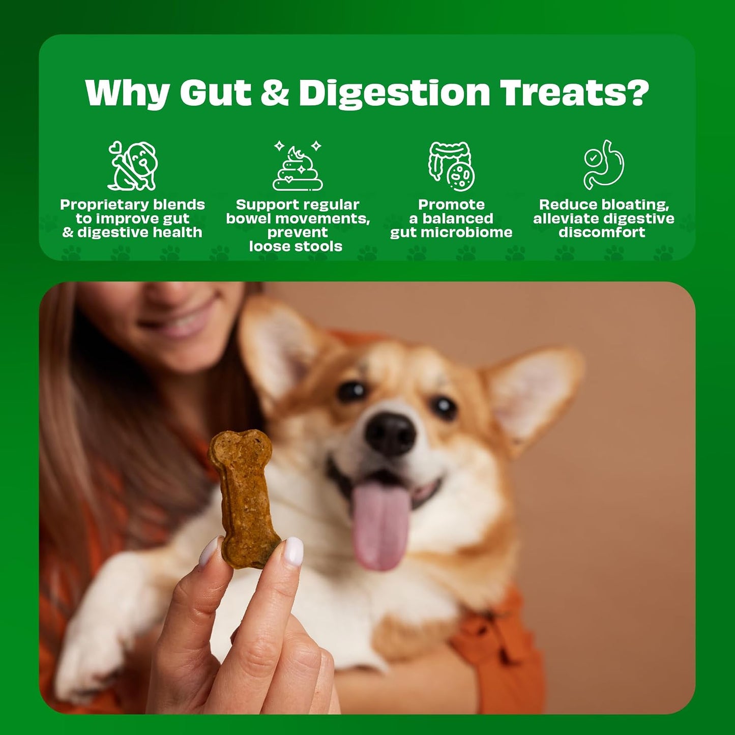 Pawfect Cheesecuits - Cheese Biscuits with Pumpkin, Flaxseeds & Eggs for Dogs- 100% Natural - Grain-Free - Hypoallergenic - Rich in Antioxidants - High-Protein Dog Training Treats (100g/3.53oz)