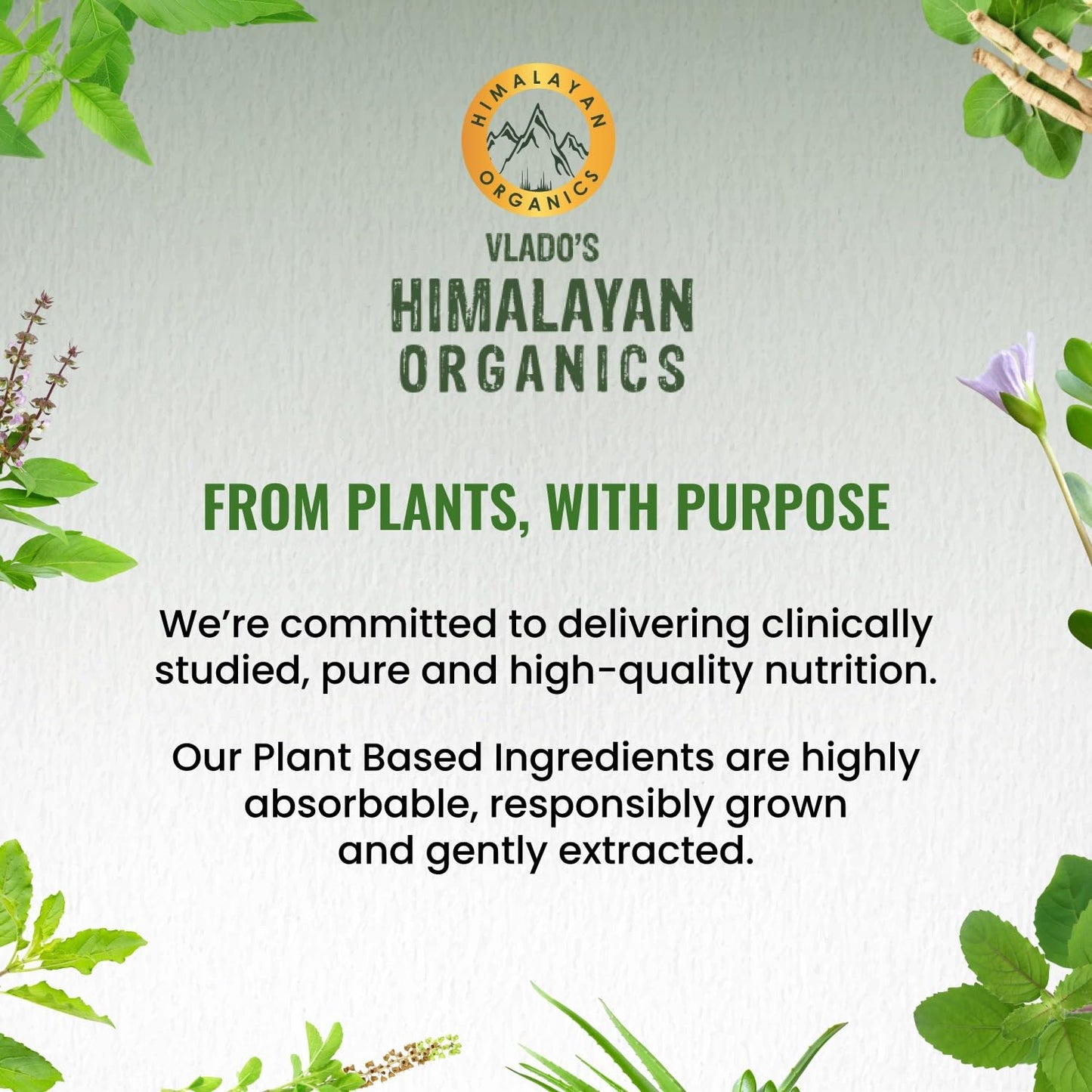 Vlado’s Himalayan Organics Multivitamin Tablets for Men & women With Probiotics - 60+ Ingredients multi Vitamins Supplement For Men And Women | VItamin B1,B2,B3,B5,B6B9,B12,C,E,A,K2,D Magneisum with 5B CFU Probiotic Blends 60 Veg Tablets