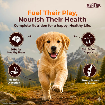 Meat Up Puppy Dry Dog Food, 1.2 kg Pack