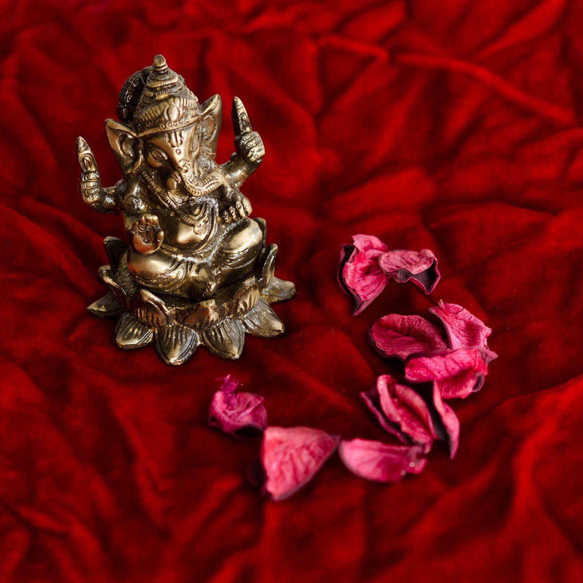 Antique Finish Lord Ganesha on Lotus Brass Idol (6.25 cm x 6.25 cm x 8.75 cm, Brown)