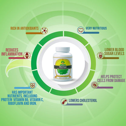 Moringa Leaves Extracts (500mg X 60 Veg Capsules) - Dietary Herbal Supplement
