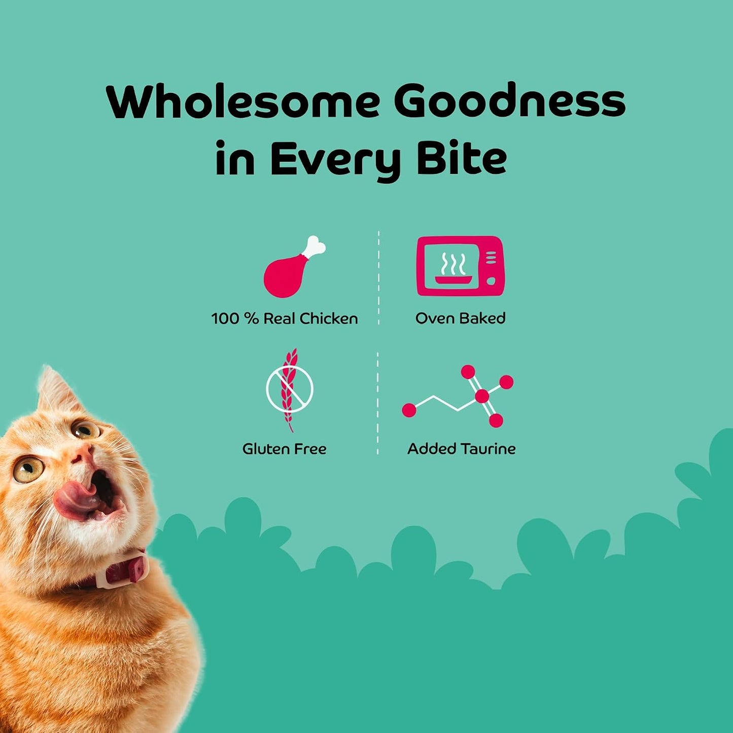 Applod Chicken with Wheat Grass Soft Cat Treats for Kittens & Adult Cats | Made with Real Chicken Meat | Grain-Free Protein-Rich Snacks with Taurine & No Fillers | 35g