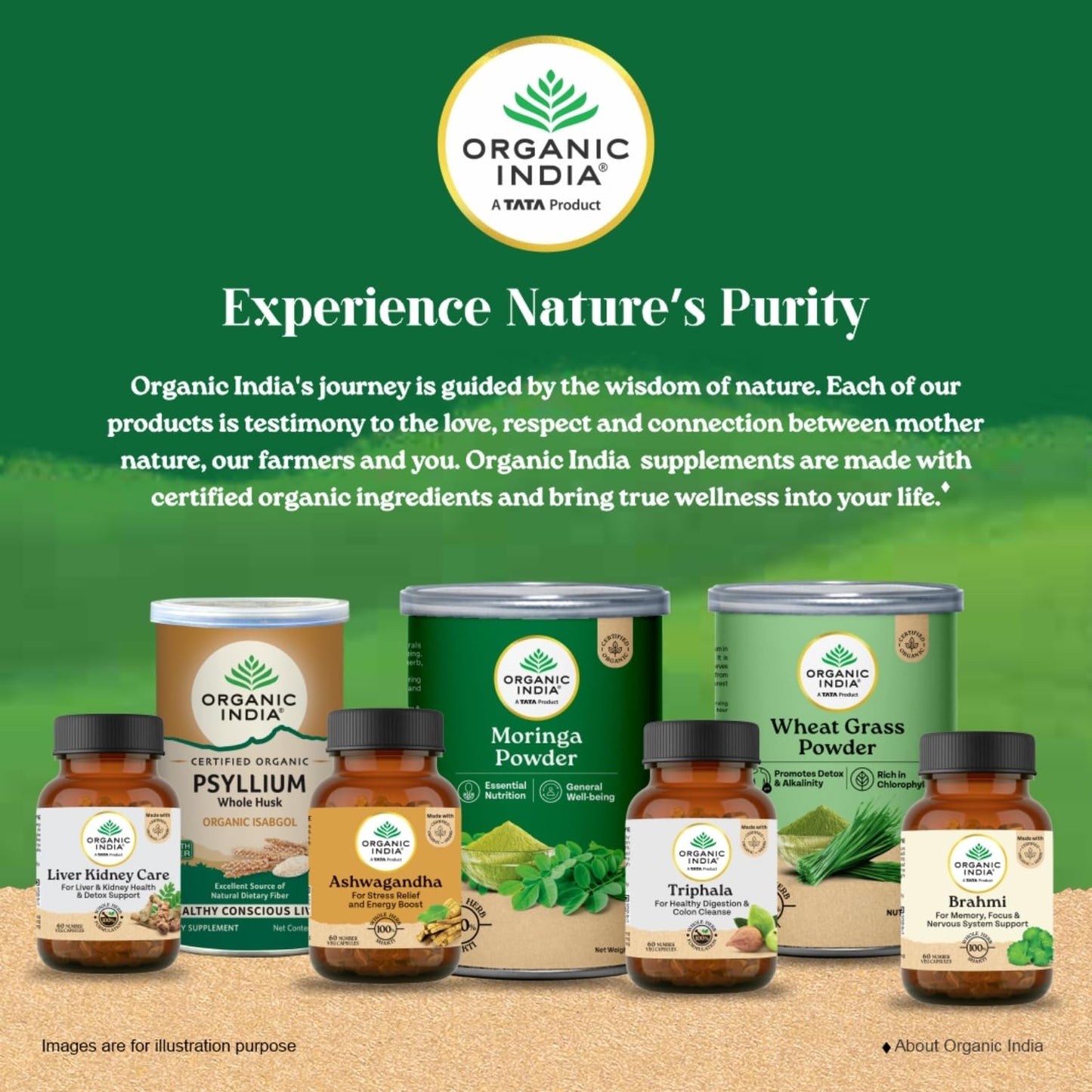 A TATA Product - Organic India Pure Ashwagandha Root Capsules - 60 Veg Caps (400mg), For Vitality & Relieves Stress, Naturally Boosts Energy & Stamina, Improves Immune System, GMP & NPOP Certified