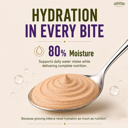 Grain Zero Adult Cat Wet Mousse 80gm | Ocean Fish | Rich in Protein, Promotes Hydration & Easy to Digest | Grain Free, No Artificial Flavours | Packed with Essential Vitamins & Antioxidants
