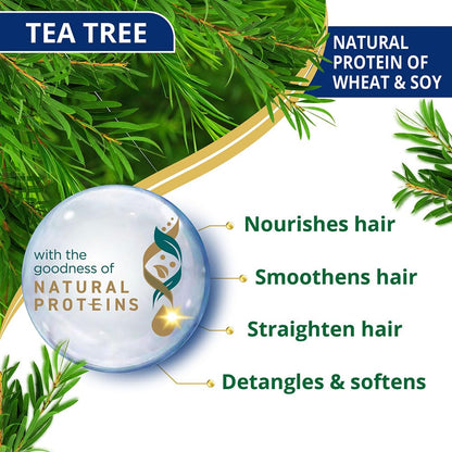 Tea tree product with natural protein benefits on a white background