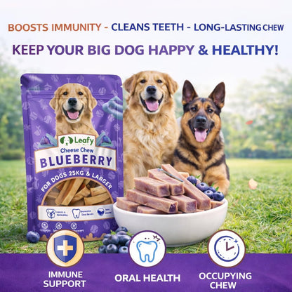 LeafyPaws Himalayan Cheese Chew Dog Treats (95g) | 100% Natural Long Lasting Yak Milk Chews for Medium & Large Dogs (25kg+) | Lactose Free, Grain Free, No Preservatives, Dental Support (Blueberry)