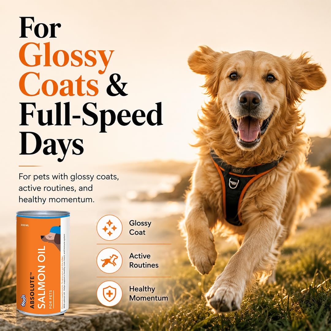 Drools Absolute Dog Supplement Syrup 300ml Jar | Salmon Flavour | All Breeds | Promotes Shiny Coat | Boosts Immunity | Aids Brain Development | Helps Prevent Skin Issues | Maintains Heart Health