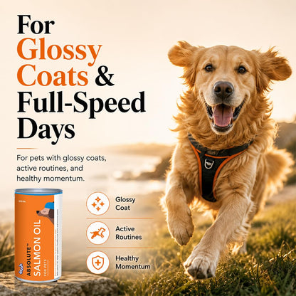 Drools Absolute Dog Supplement Syrup 300ml Jar | Salmon Flavour | All Breeds | Promotes Shiny Coat | Boosts Immunity | Aids Brain Development | Helps Prevent Skin Issues | Maintains Heart Health