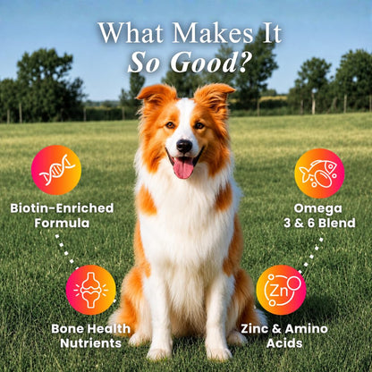 Petroyale Skin & Coat Chews for Dogs | Healthy Skin & Shiny Fur Supplement | Helps Reduce Shedding, Dry & Itchy Skin | Supports Immunity & Overall Wellness | 30 Soft Chews