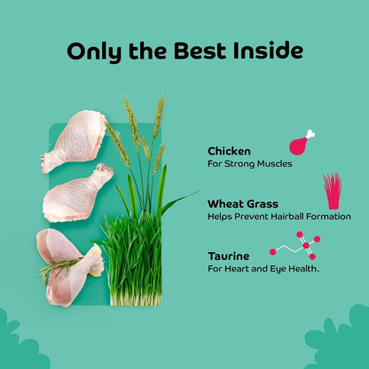 Applod Chicken with Wheat Grass Soft Cat Treats for Kittens & Adult Cats | Made with Real Chicken Meat | Grain-Free Protein-Rich Snacks with Taurine & No Fillers | 35g