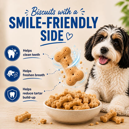 Purepet Dog Treats Biscuits 800g Pack | Milk Flavour | Active Behaviour | Oral Health | Training and Behaviour | Healthy Immune System (All Life Stages)