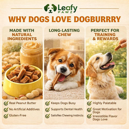 LeafyPaws Dogburry Dog Treats (35g) | Grain Free, Lactose Free, 100% Natural Reward Snack | No Added Preservatives | Healthy Training Treats for All Breeds (Peanut Butter)