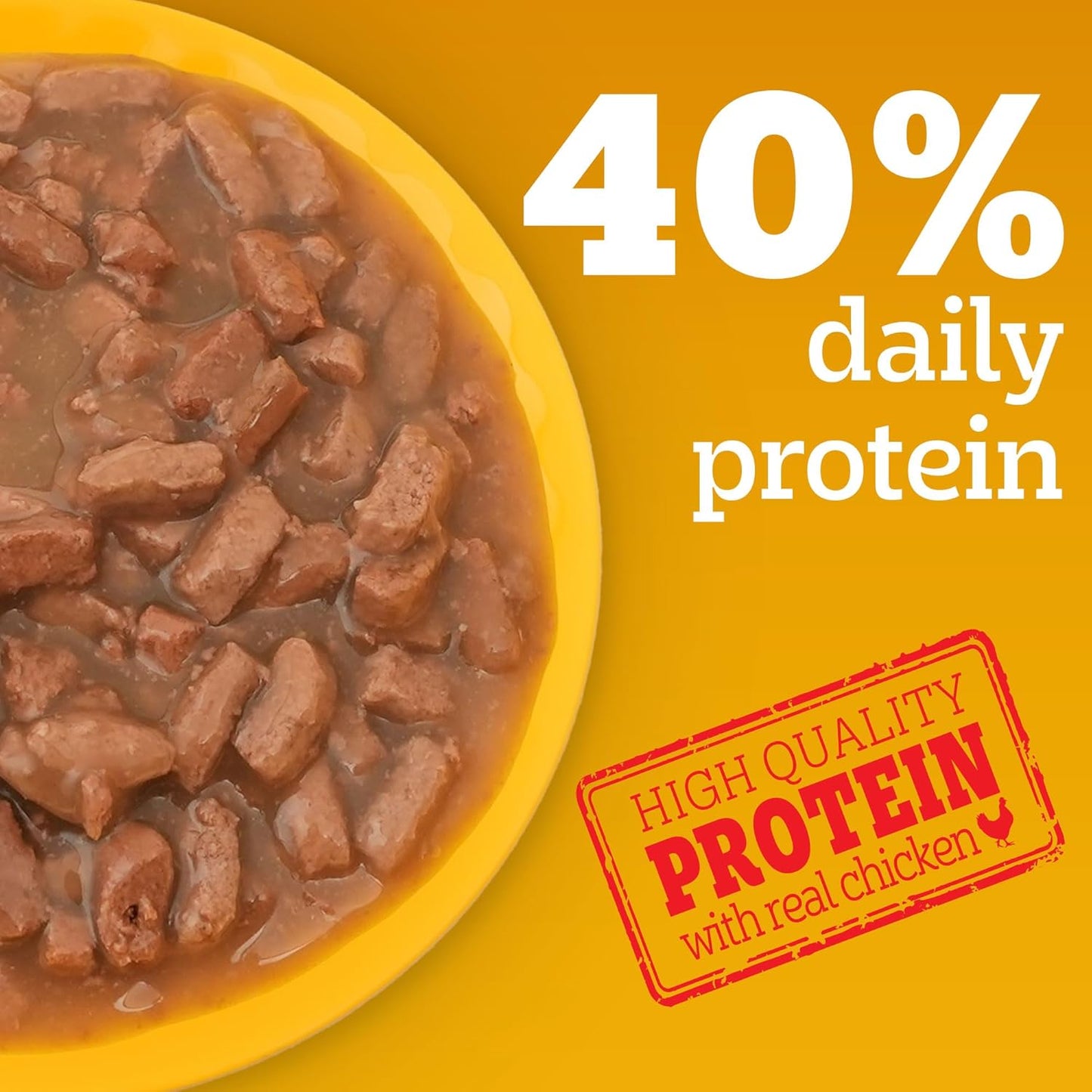 Pedigree Adult Wet Dog Food, Chicken & Liver Chunks in Gravy, 70 g, Complete & Balanced Meal for Adult Dogs