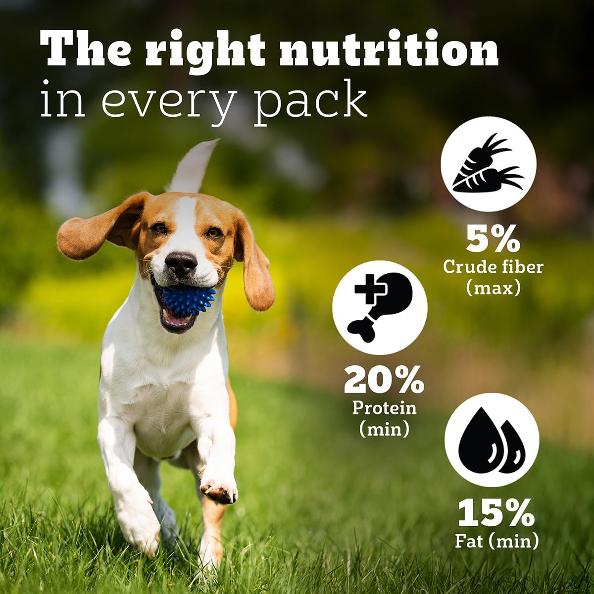 Pedigree PRO Adult Small Breed, 1.2 kg Dry Dog Food, Vet Trusted Brand, Expert Nutrition, Quality Protein, 33% More Nutrients (9 Months Onwards)