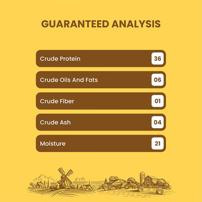 BarkButler x Dogfest Meaty Coins Treats for Dogs| Meat-First | Human Grade | Natural Ingredients | 0% Artificial Colours & Preservatives |Dog Treats for Adult Dog | 90g