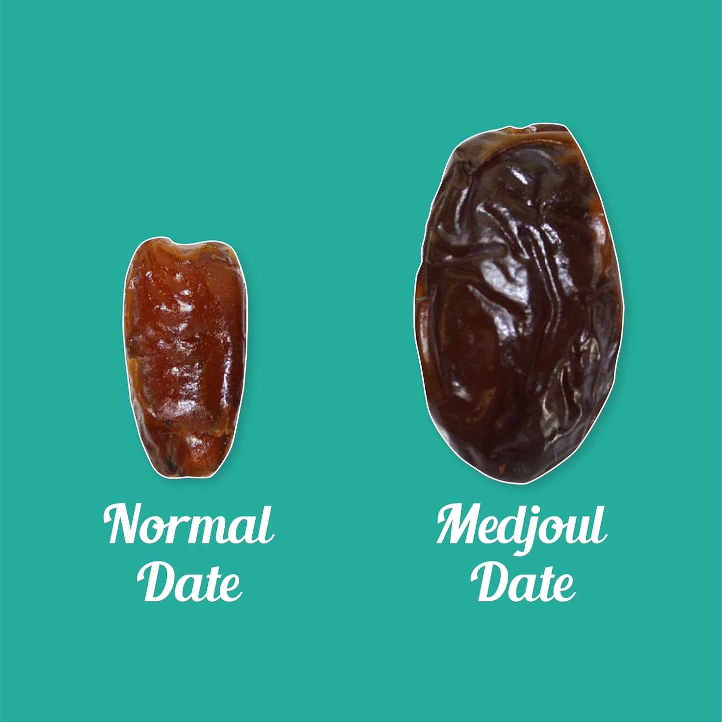 Notty Nuts -FOR A HEALTHY LIFE Medjoul Dates 250 gm| Jumbo Size Khajur/Khajoor | No Artificial Colours | Naturally Sweet | Premium dates dry fruits (Pack of1)