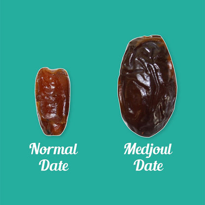 Notty Nuts -FOR A HEALTHY LIFE Medjoul Dates 250 gm| Jumbo Size Khajur/Khajoor | No Artificial Colours | Naturally Sweet | Premium dates dry fruits (Pack of1)
