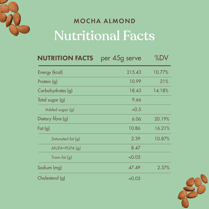 Cosmix No-Nonsense Protein Bar | Mocha Almond | 11g Complete Plant Protein + 6g Fibre | No Added Sugar or Preservatives | Gluten & Lactose-Free, Gut-Friendly | 45g Bar