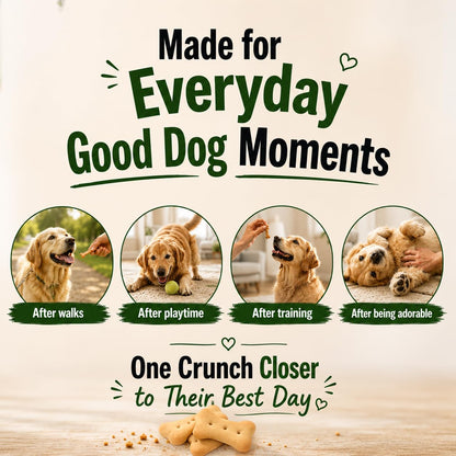 Purepet Dog Treats Biscuits for All Life Stages 800g Pack | 100% Vegetable Flavour | Active Behaviour | Oral Health | Training and Behaviour | Healthy Immune System