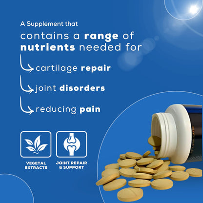 Venttura Petraceuticals Flexi+ Chewable Tablets Hip & Joint Supplement for Dogs | Strengthen Joints | Repairs Cartilage | Joint Health Support | Improves Mobility | (45 Chewable Tablets)