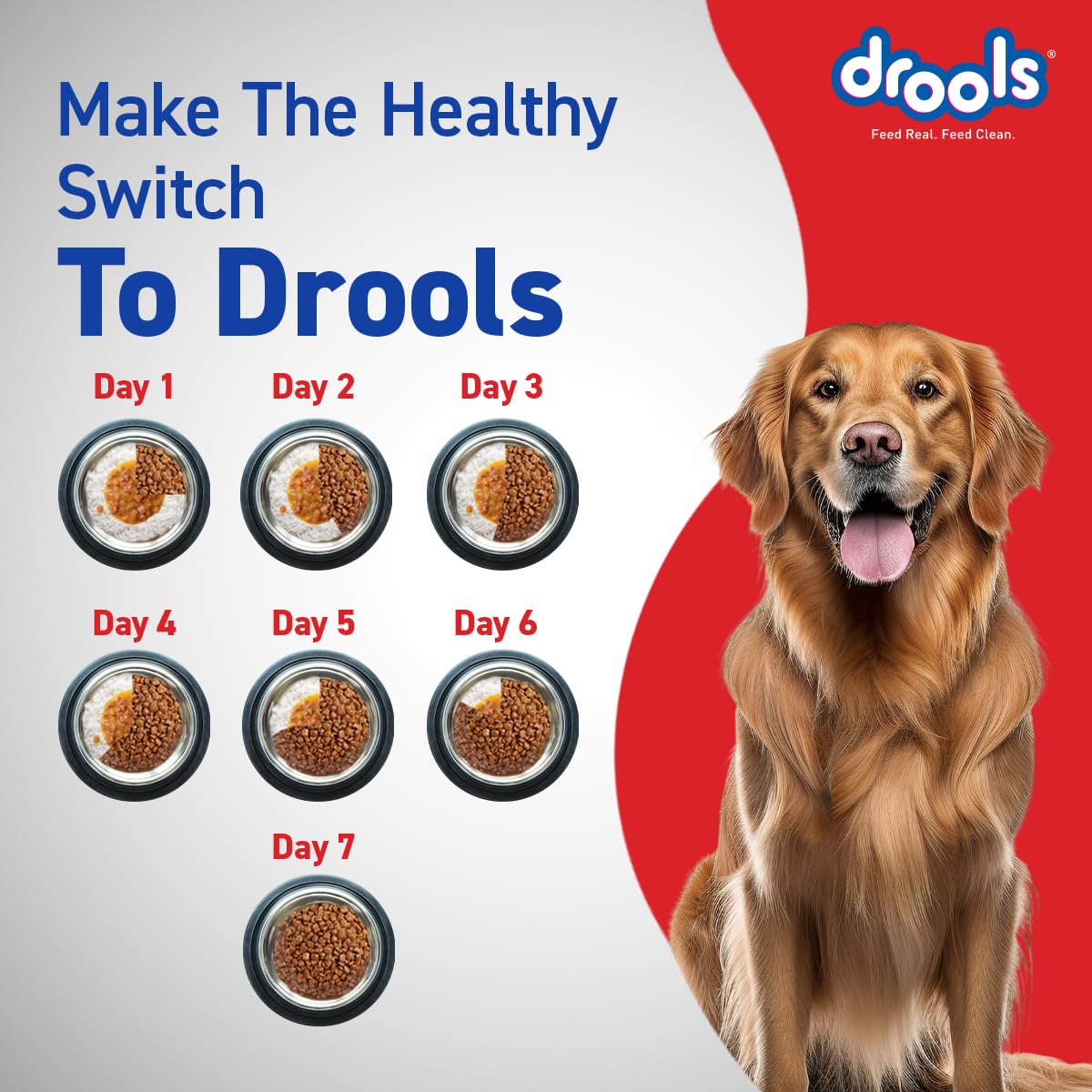 Drools Adult Dry Dog Food 1.2kg | Chicken & Egg Flavour | Omega 3 & 6 for Growth | Better Digestibility | Supports Joint Health