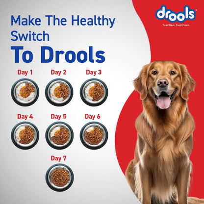Drools Adult Dry Dog Food 1.2kg | Chicken & Egg Flavour | Omega 3 & 6 for Growth | Better Digestibility | Supports Joint Health